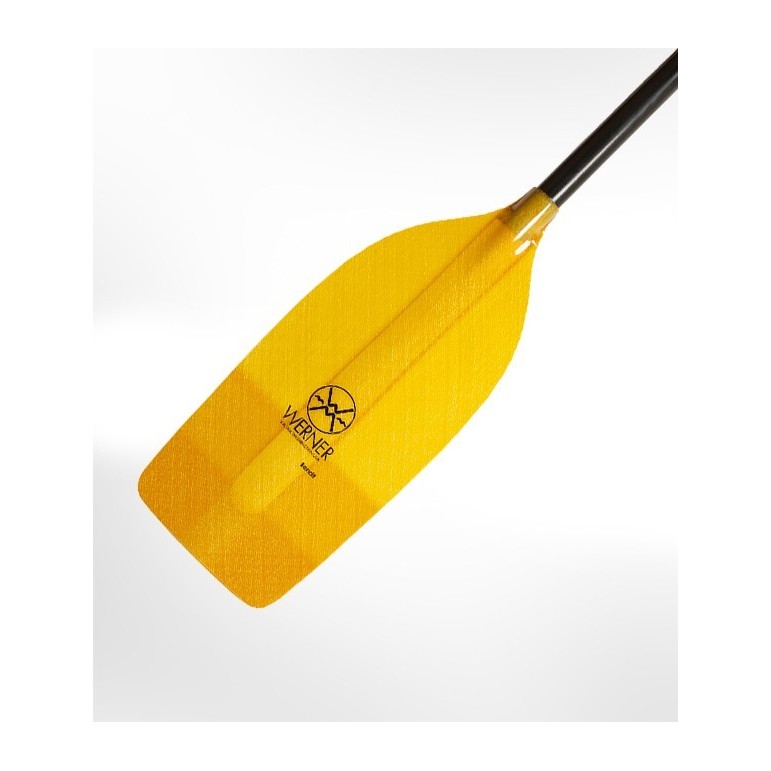 BANDIT WERNER (img 3292)