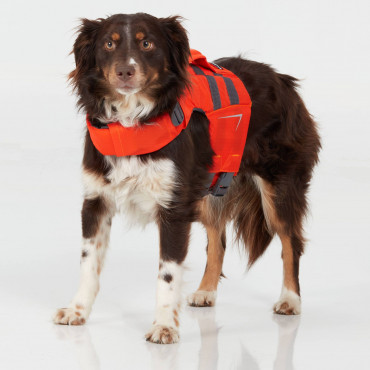GILET CHIEN NRS CFD DOG LIFE JACKET