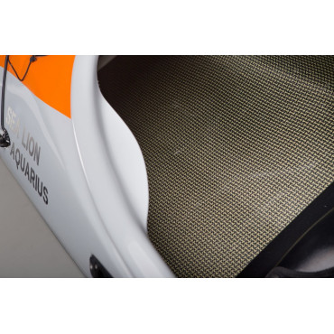 SEA LION HV AQUARIUS