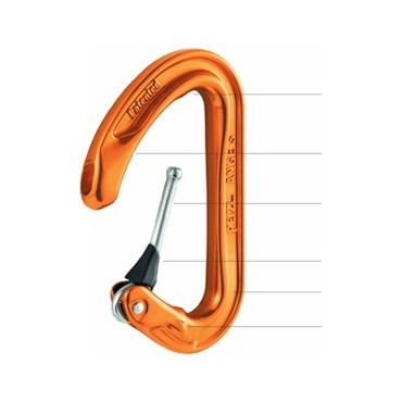 DEGAINE ANGE S (img 1337)