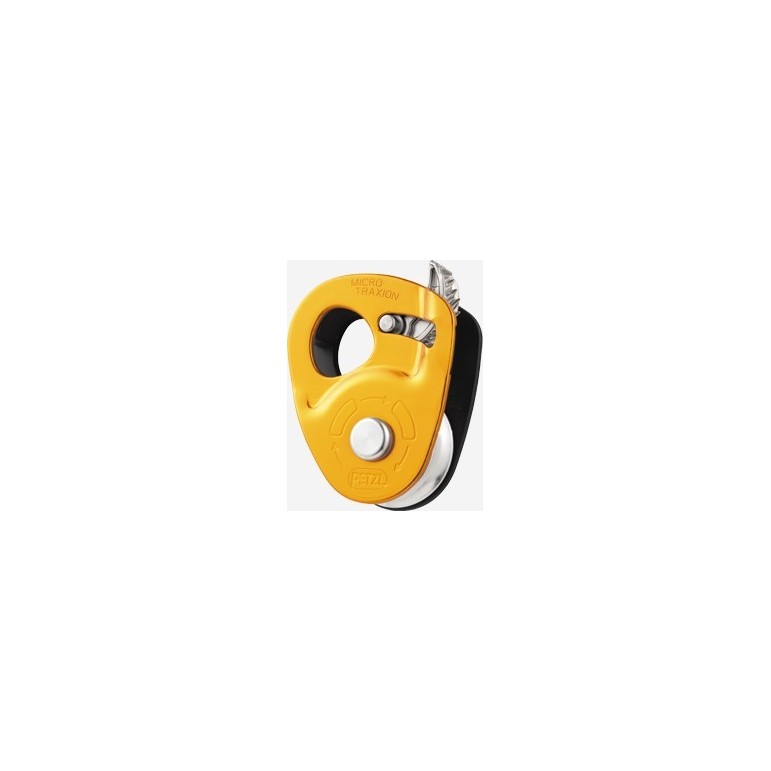 MICRO TRAXION PETZL (img 1654)