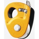 MICRO TRAXION PETZL (img 1654)