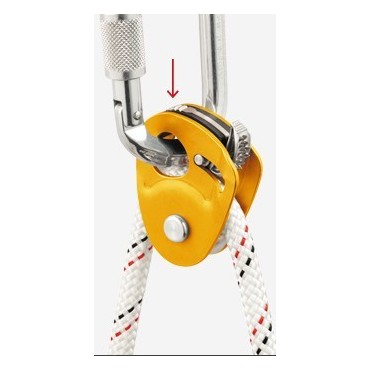 MICRO TRAXION PETZL (img 1654)