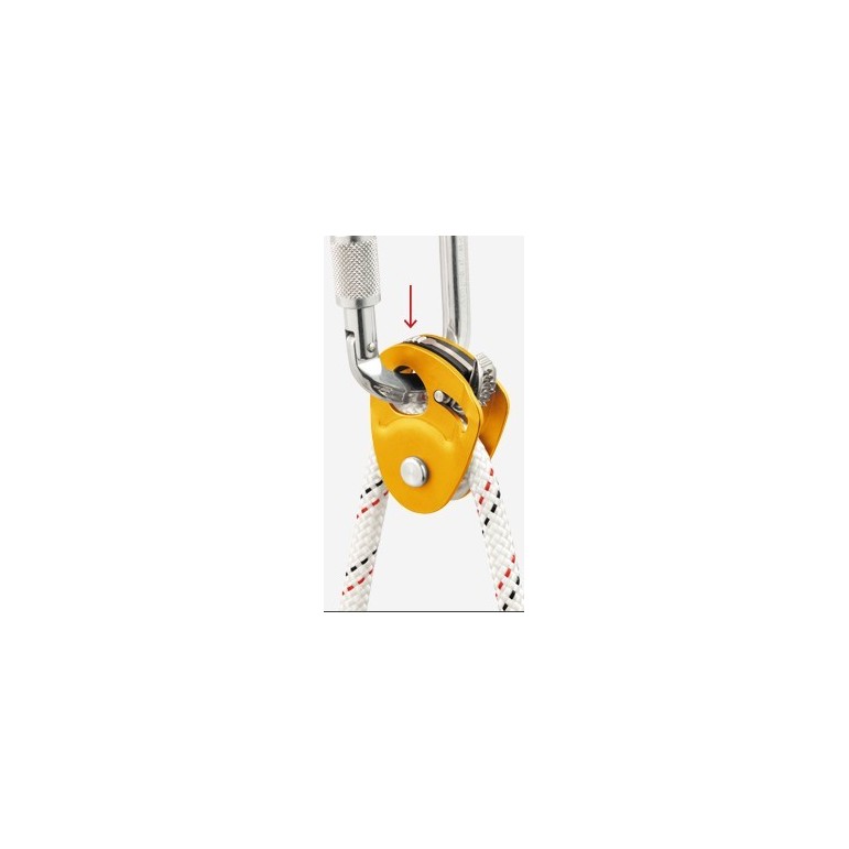 MICRO TRAXION PETZL (img 1655)