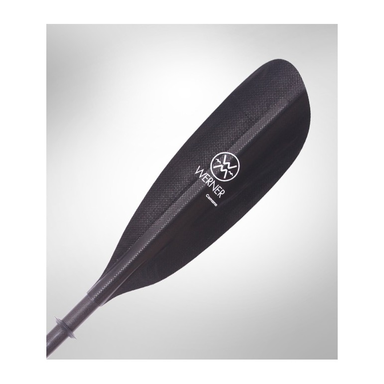 CAMANO WERNER 2 PARTIES